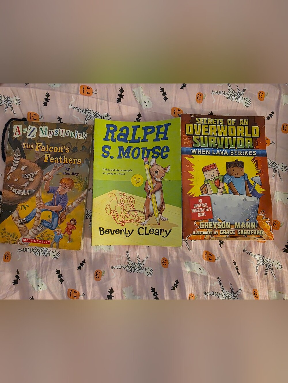 3 Chapter Books